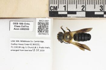 Media type: image;   Entomology 799271 Aspect: labels